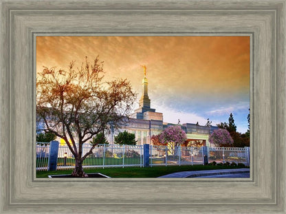 Fresno 03