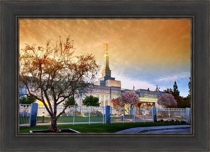 Fresno 03
