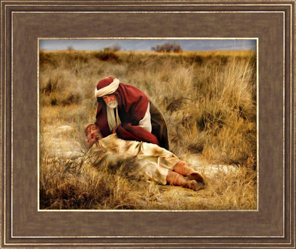 The Good Samaritan