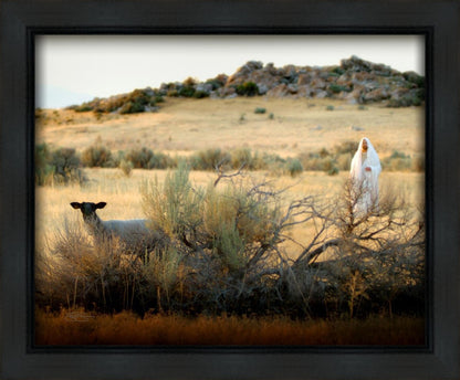 In Search of the One Gallery Wrap