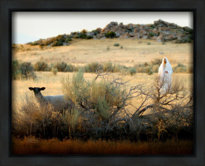 In Search of the One Gallery Wrap