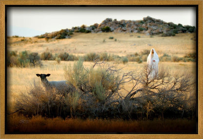 In Search of the One Gallery Wrap