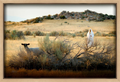 In Search of the One Gallery Wrap