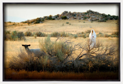 In Search of the One Gallery Wrap