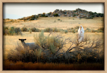 In Search of the One Gallery Wrap