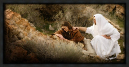 The Comforter Gallery Wrap