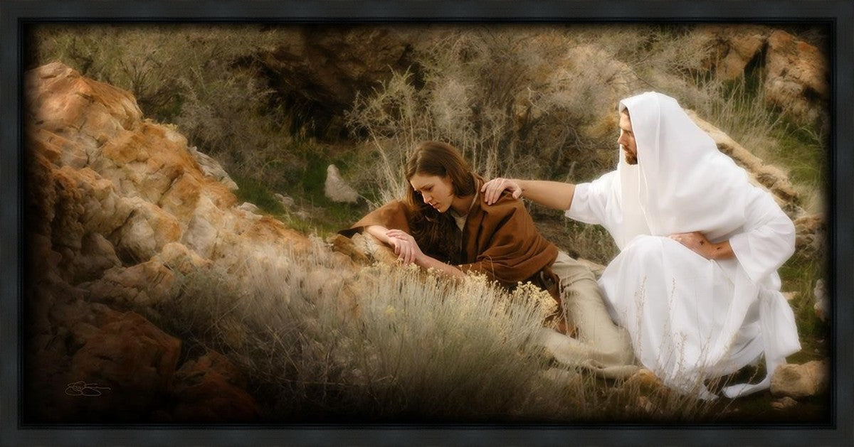 The Comforter