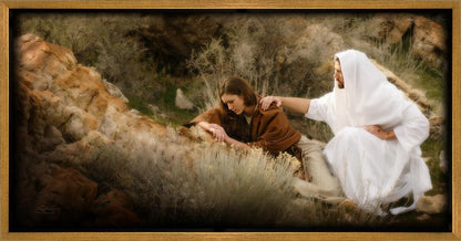 The Comforter