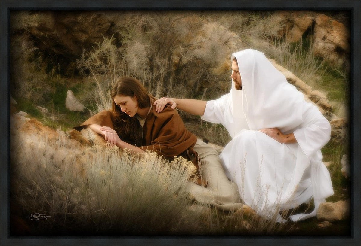 The Comforter