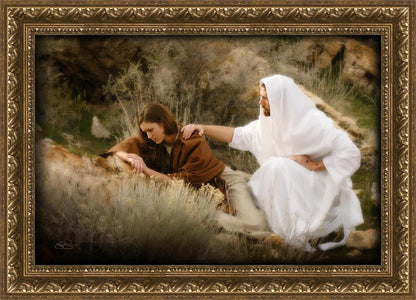 The Comforter