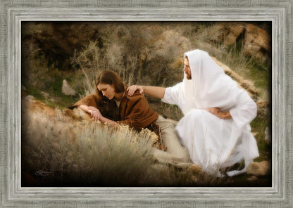 The Comforter