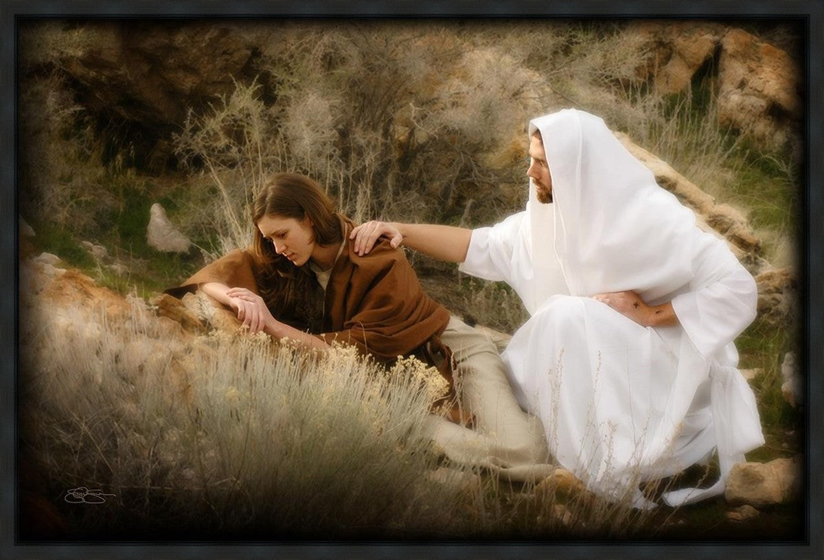 The Comforter