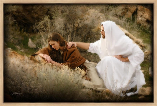 The Comforter