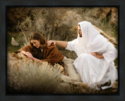 The Comforter