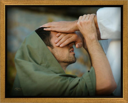 The Healer Gallery Wrap