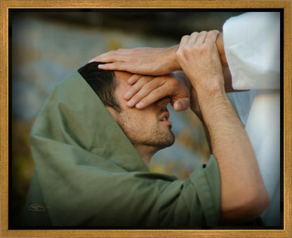 The Healer Gallery Wrap