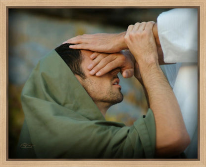The Healer Gallery Wrap