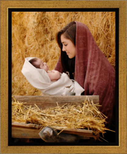 The Son of God Gallery Wrap