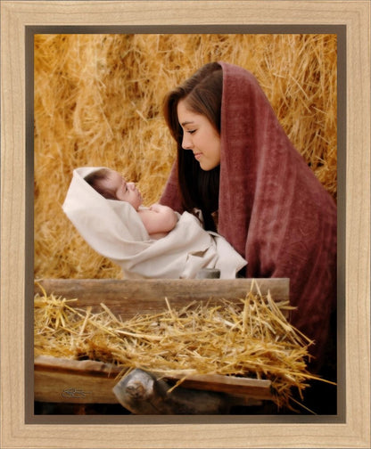 The Son of God Gallery Wrap