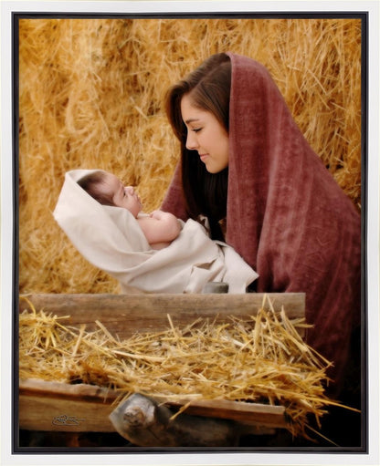 The Son of God Gallery Wrap