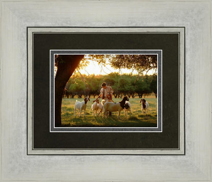 Tending the Flock