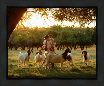 Tending the Flock Gallery Wrap
