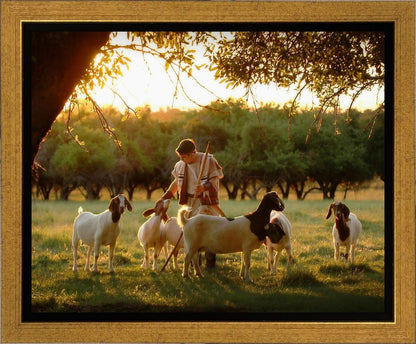 Tending the Flock Gallery Wrap