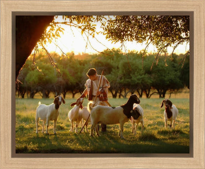 Tending the Flock Gallery Wrap