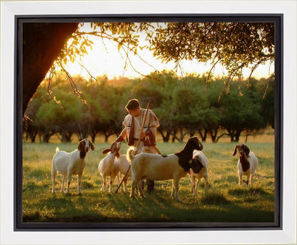 Tending the Flock Gallery Wrap