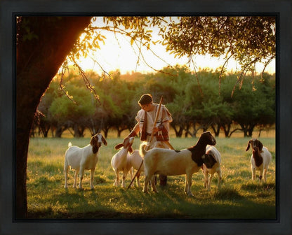 Tending the Flock Gallery Wrap
