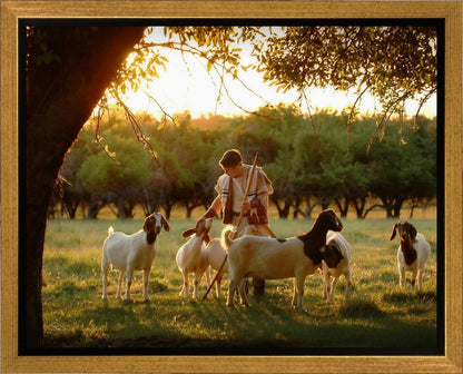 Tending the Flock Gallery Wrap