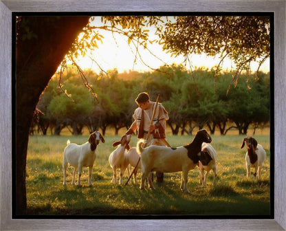 Tending the Flock Gallery Wrap