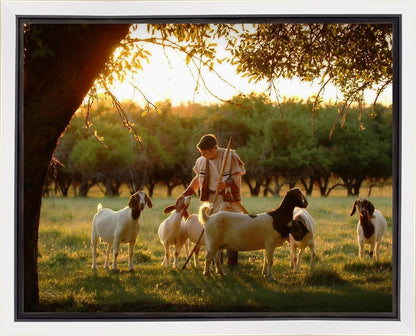 Tending the Flock Gallery Wrap