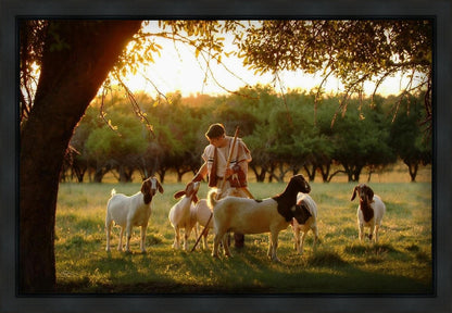 Tending the Flock Gallery Wrap