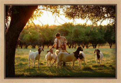 Tending the Flock Gallery Wrap