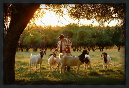 Tending the Flock Gallery Wrap
