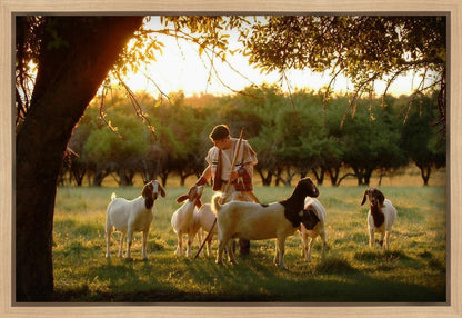 Tending the Flock Gallery Wrap