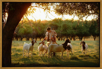 Tending the Flock Gallery Wrap