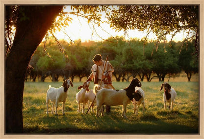 Tending the Flock Gallery Wrap