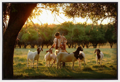 Tending the Flock Gallery Wrap
