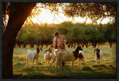 Tending the Flock Gallery Wrap