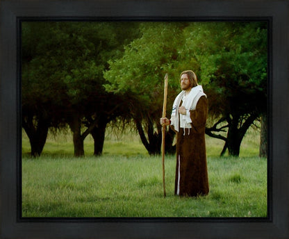 Lord Of The Vineyard Gallery Wrap