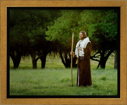 Lord Of The Vineyard Gallery Wrap