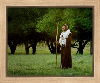 Lord Of The Vineyard Gallery Wrap