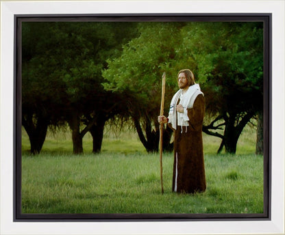 Lord Of The Vineyard Gallery Wrap