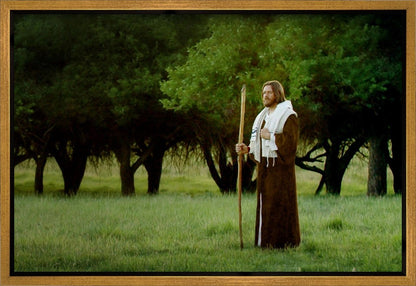 Lord Of The Vineyard Gallery Wrap