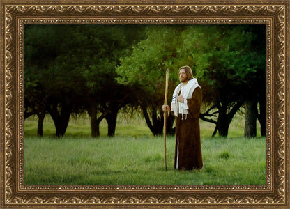 Lord Of The Vineyard