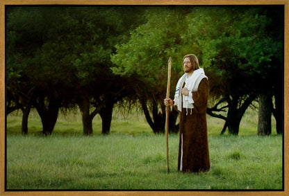 Lord Of The Vineyard Gallery Wrap