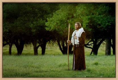 Lord Of The Vineyard Gallery Wrap