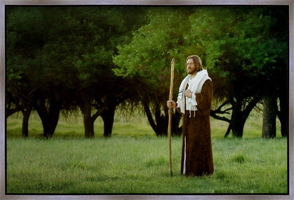 Lord Of The Vineyard Gallery Wrap